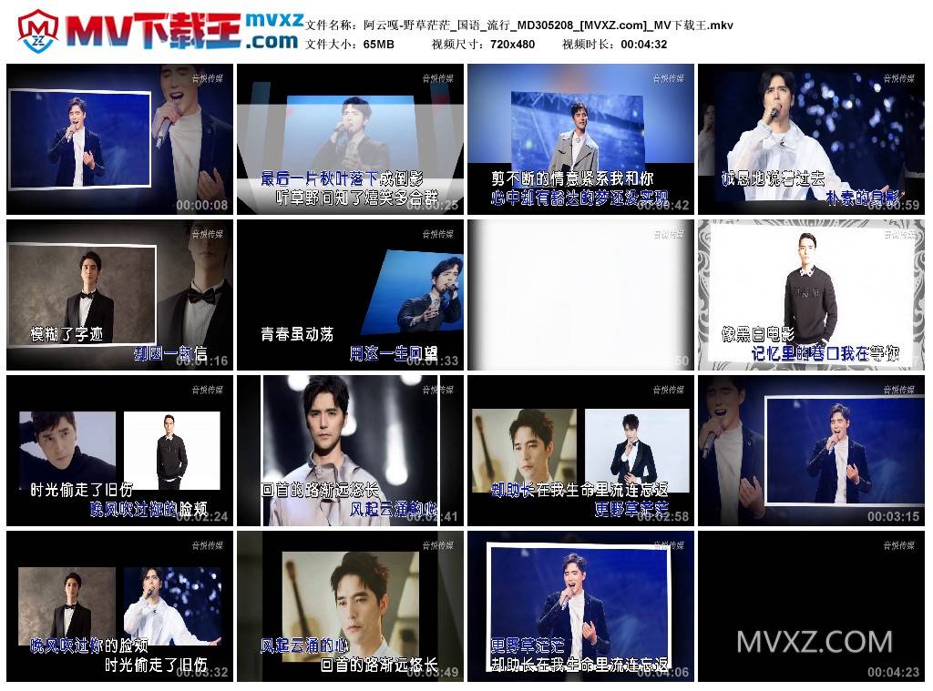 阿云嘎-野草茫茫_国语_流行_MD305208